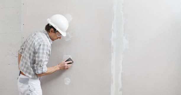 Best Asbestos and Lead Testing During Mold Inspection  in Bayport, MN