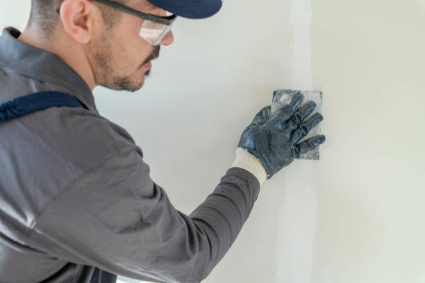 Best Mold Prevention Services  in Bayport, MN