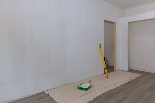 Best Real Estate Mold Inspection  in Bayport, MN