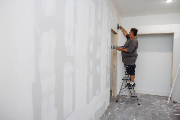 Best Mold Documentation for Insurance Claims  in Bayport, MN