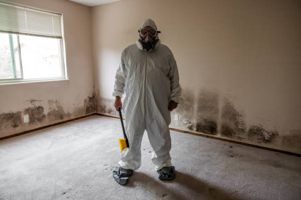 Best HVAC Mold Inspection and Cleaning  in Bayport, MN