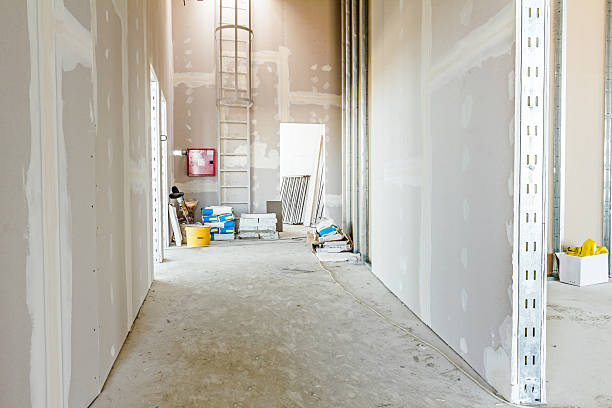 Best Airborne Mold Testing  in Bayport, MN