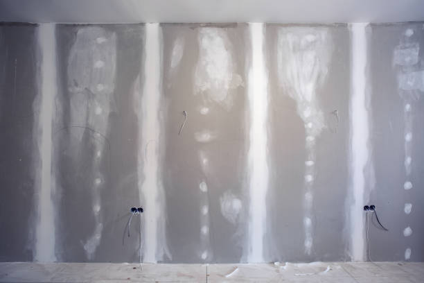 Best Biohazard Mold Removal  in Bayport, MN