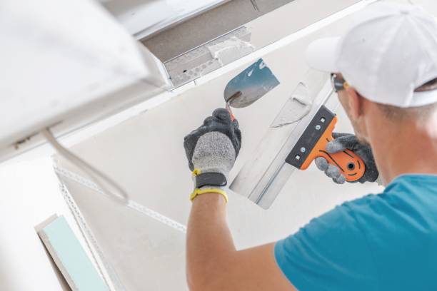 Best Mold Damage Restoration  in Bayport, MN